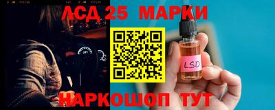 гашик Вязники