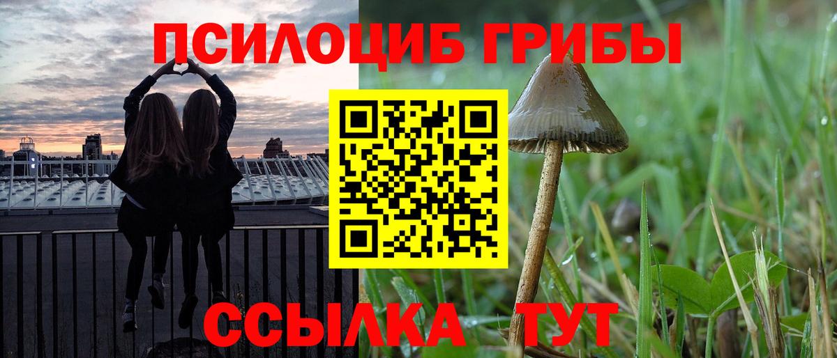 Псилоцибиновые грибы Cubensis Оренбург